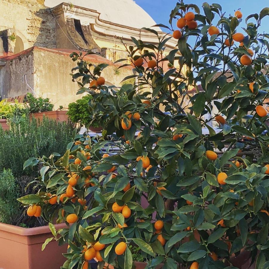 B&B La Terrazza Napoli Esterno foto