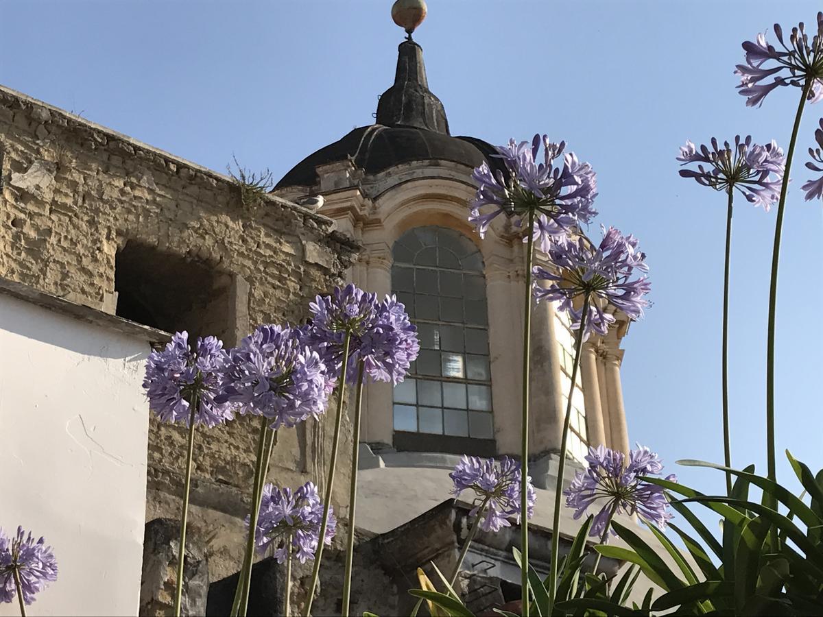 B&B La Terrazza Napoli Esterno foto